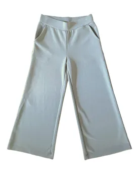 Light Summer Willow Gray Wide Leg Pant