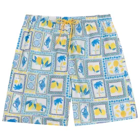 Men's 8" Swim Trunks Boxer Brief Liner | "Mediterranean Lemons"